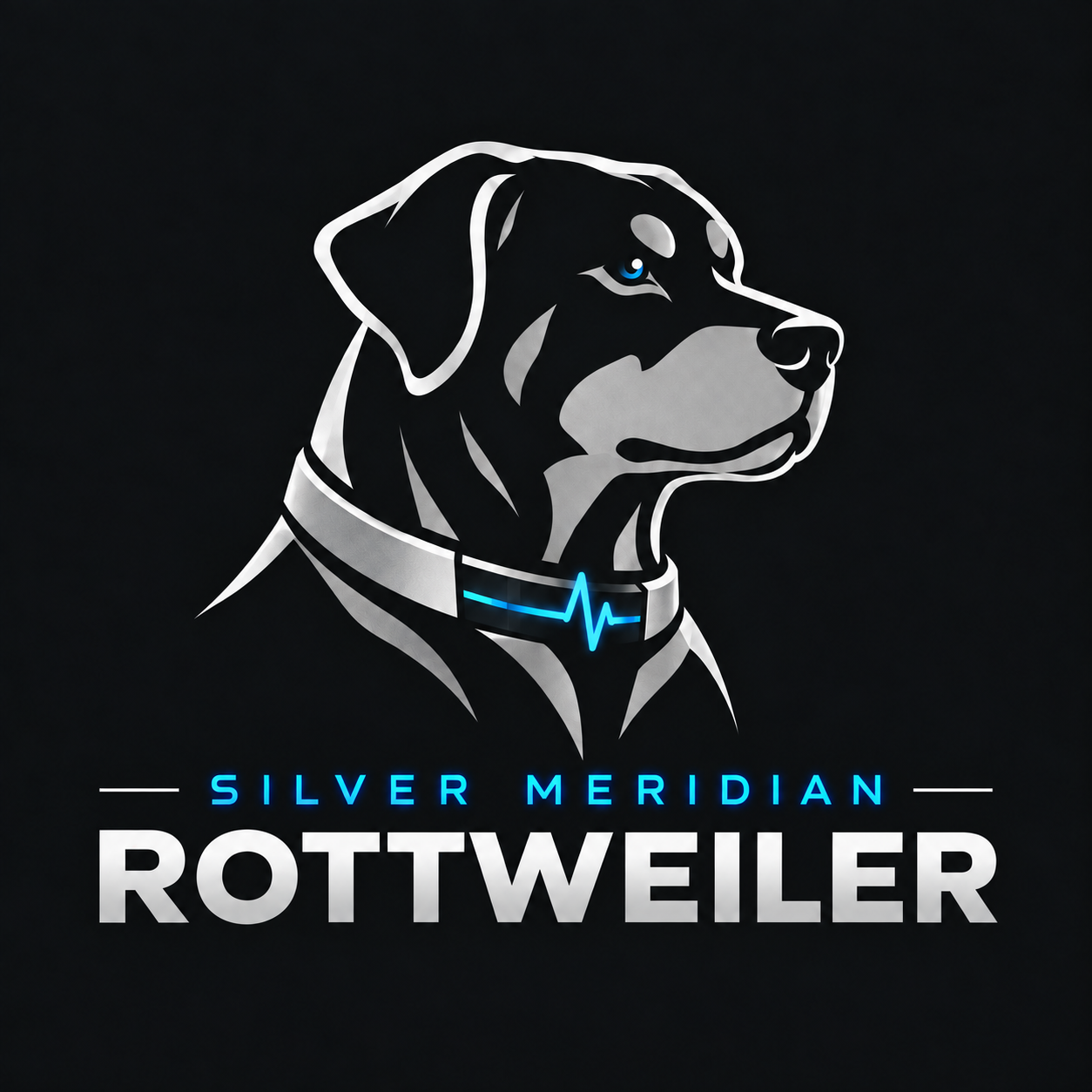 Silver Meridian Rottweiler